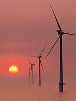 Windpark Horns Rev