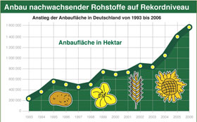 Energiepflanzenanbau