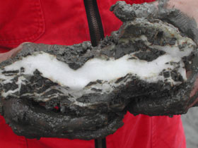 Methanhydrat im Sediment