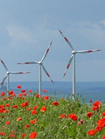 0114_windpark_t