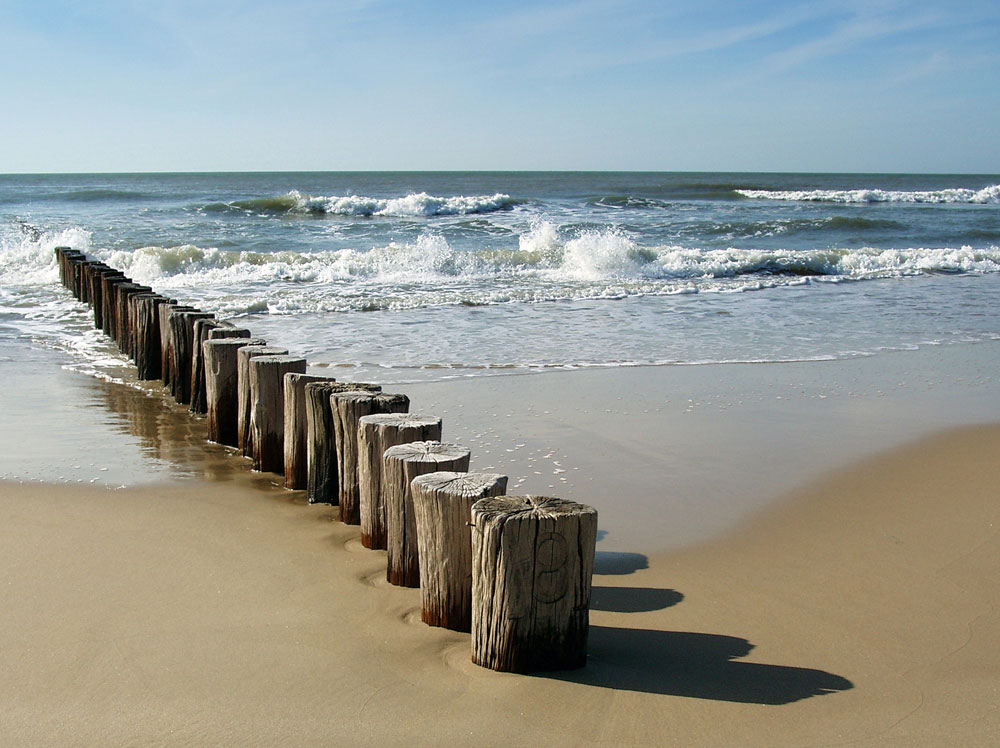 0116_meer_z