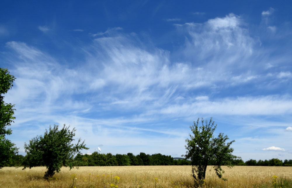 0317_cirrus_z