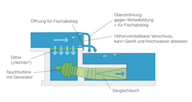 Schema