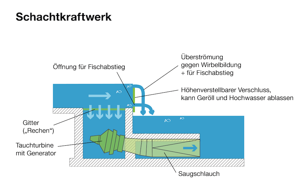 Schema